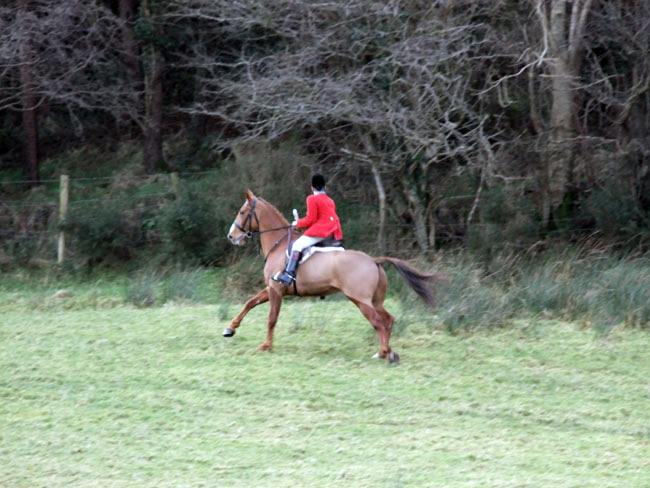 ''Go get that bad lad...''