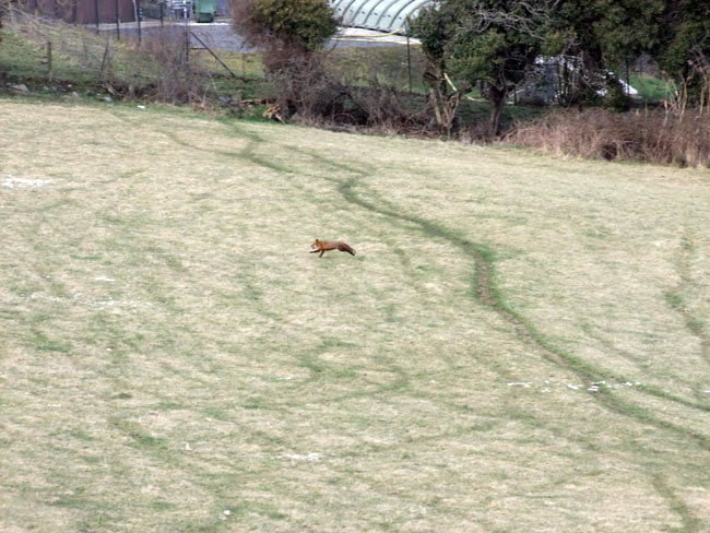 ''I do believe he's trying to get away...''