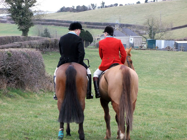 ''Should we jump this hedge or what''