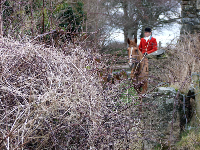 C Caven, MFH, in cover