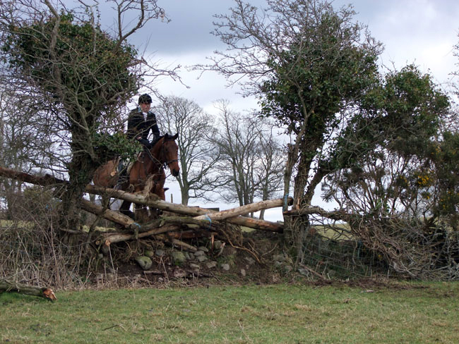 Chairman, Mr P Turley, takes off at the drop fence