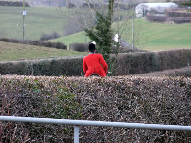 DJ Feeney, ''If I can jump a gate and a hedge, you could surely jump a hedge!'