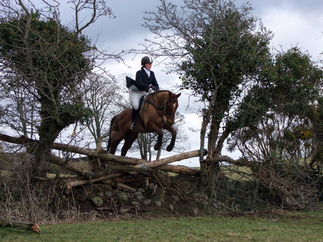 Daisy in full flight