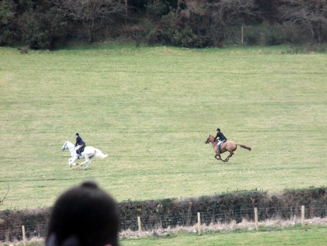 Donna Quail and Brian Toner on the chase