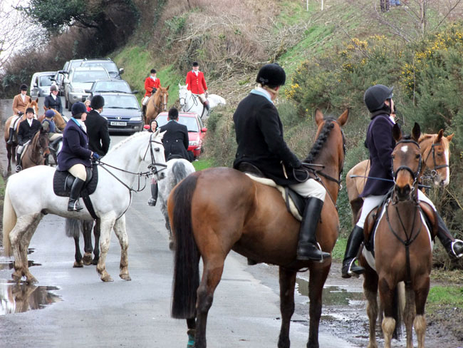 Everyone listens top the hounds speak