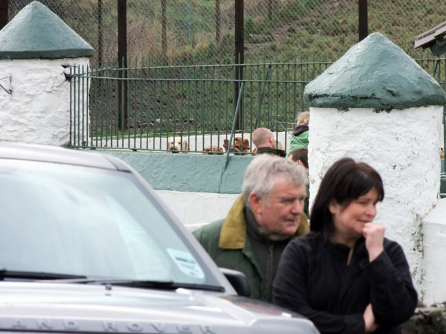 Familiar hunt followers