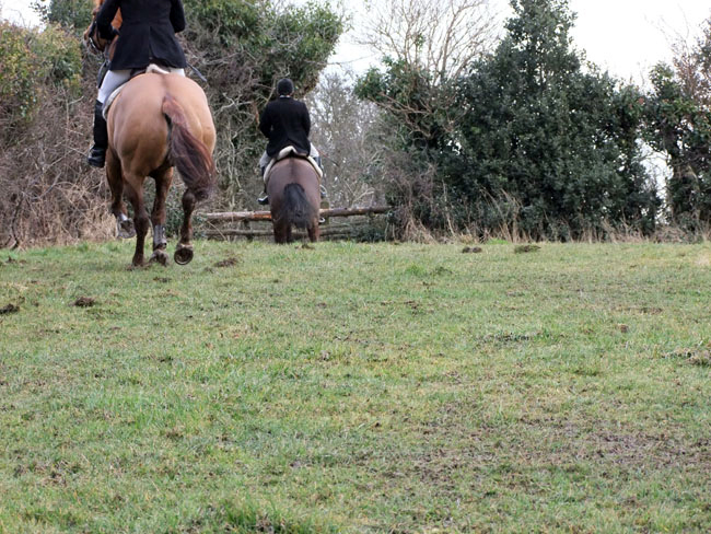 Gerry Rea negotiating a fence