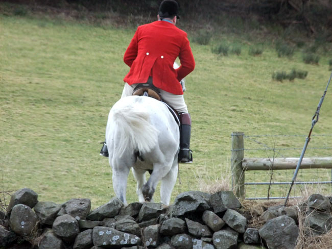 J Armstrong, MFH, safely over the first