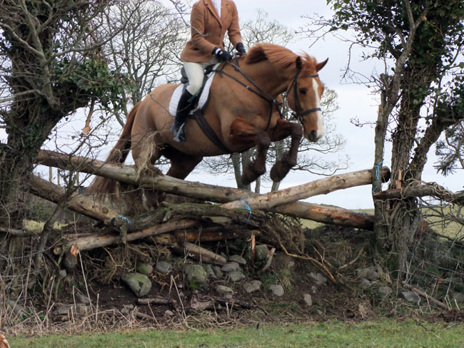 Joanna McEwan looses the head at the drop fence