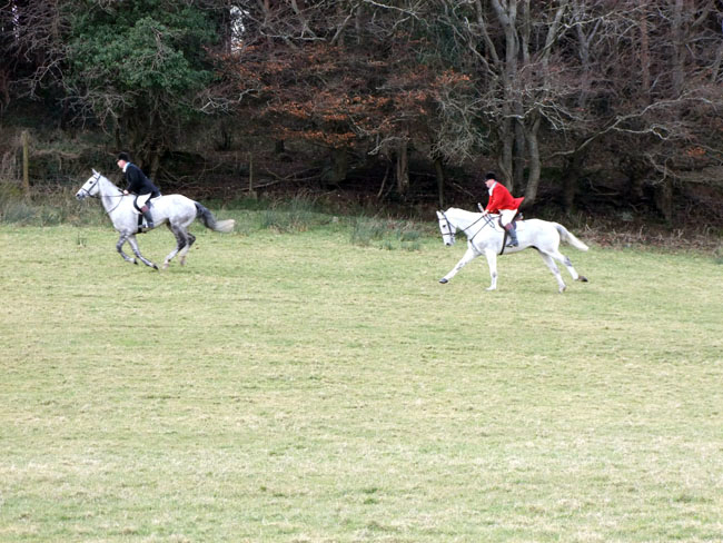 M Smith and J Armstrong, MFH, in hot pursuit at Madowell's Wood