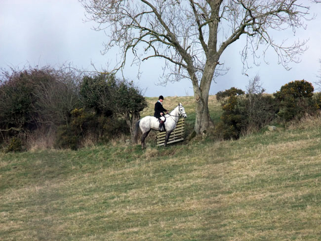 M Smith spots a second fox