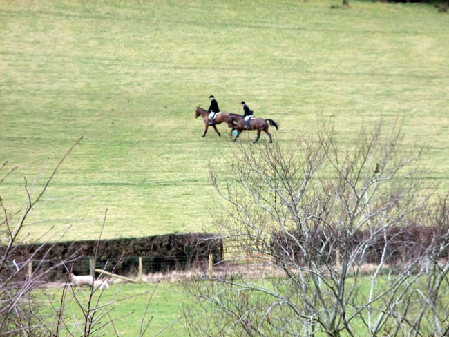 P Turley & F Kelly 'lagging behind'