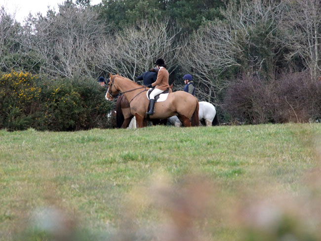 The field wait patiently